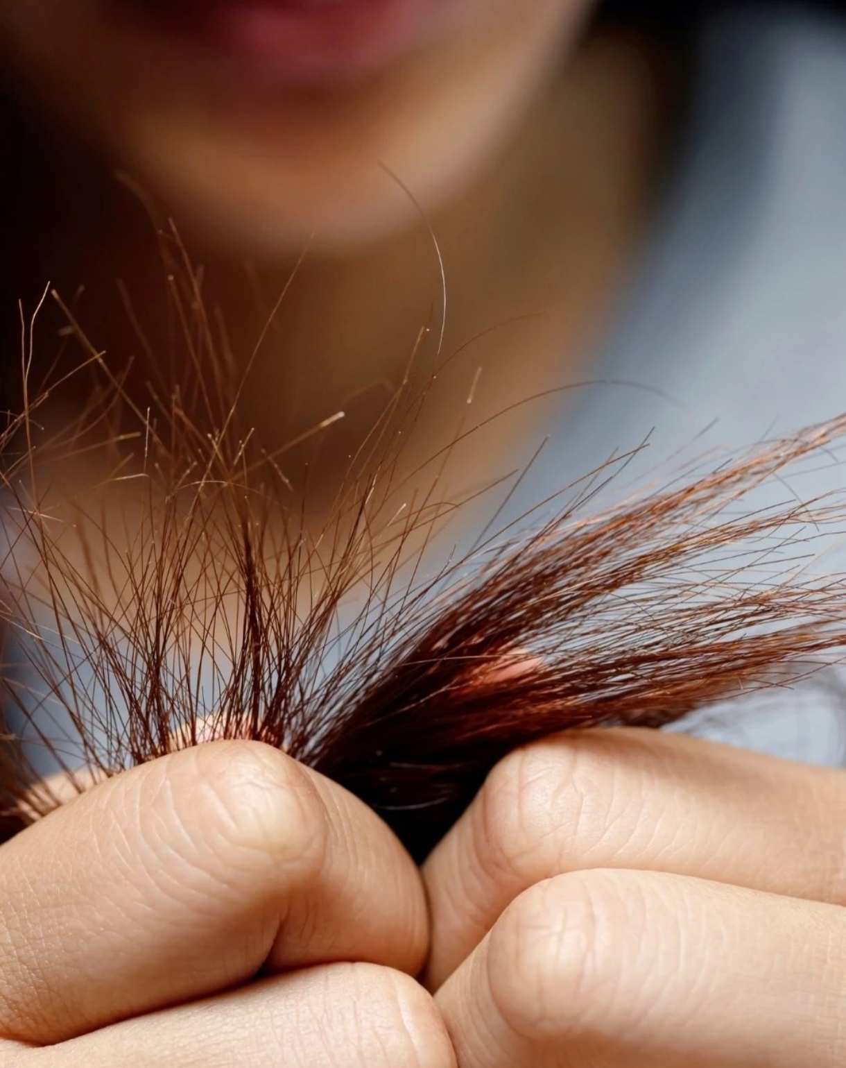 Urhealthndwealth.com how to remove split ends at home 