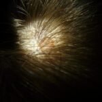 1 best scalp health tip and scalp massager